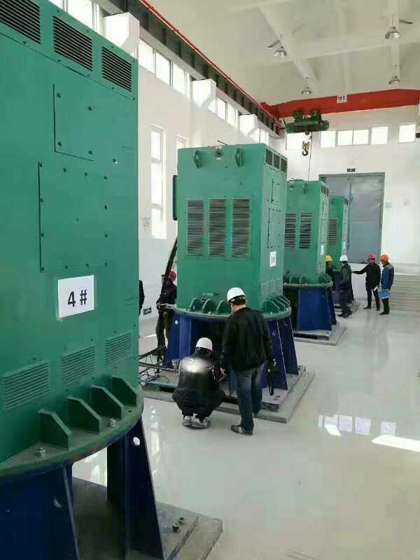 安乡某污水处理厂使用我厂的立式高压电机安装现场